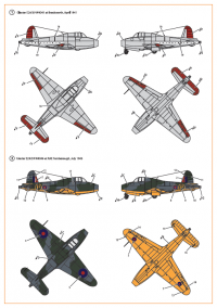 Декаль для самолета Gloster E28/39 Pioneer