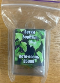 ФТД Ветки берёзы