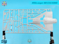 Самолет Mirage IIIEA/EBR Бразилия, Аргентина