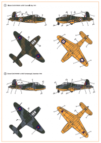 Декаль для самолета Gloster E28/39 Pioneer